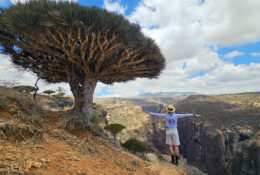 Socotra_2025 (57/76)